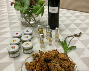 KAC Bludenz - Spitzwegerich