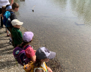 KAC-Dornbirn Biberparadies Rheinholz - Familienwanderung