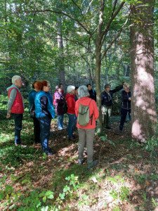 KAC Bludenz Herbst Kräuterwanderung 1