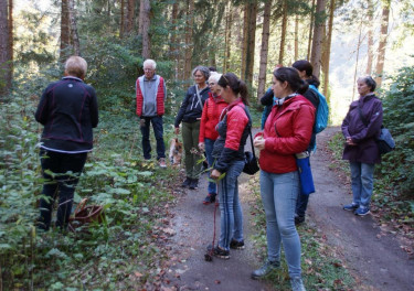 KAC Bludenz Herbst Kräuterwanderung 3