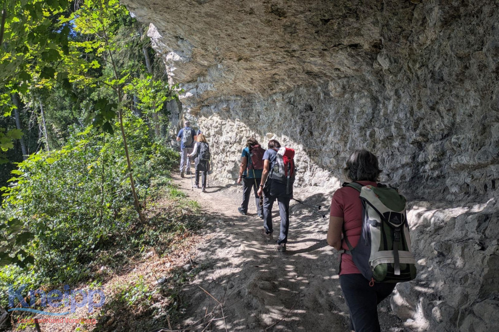 KAC Dornbirn - Herbstwanderung Felsbandweg KAC Dornbirn - Herbstwanderung Felsbandweg