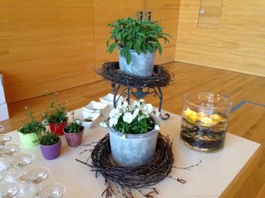 JHV_2017_Langenegg_4008