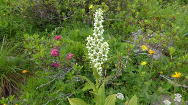 Landeswandertag_2018_Diedamskopf_10