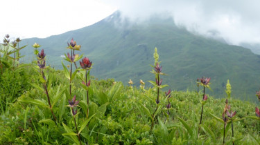 Landeswandertag_2018_Diedamskopf_15