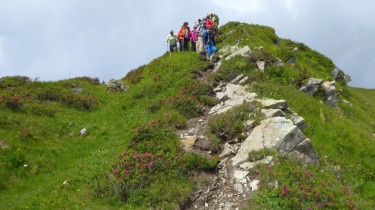 Landeswandertag_2018_Diedamskopf_18