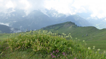 Landeswandertag_2018_Diedamskopf_2