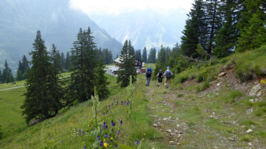 Landeswandertag_2018_Diedamskopf_22