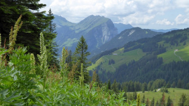 Landeswandertag_2018_Diedamskopf_29