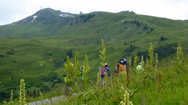 Landeswandertag_2018_Diedamskopf_32