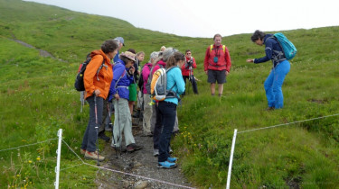 Landeswandertag_2018_Diedamskopf_4