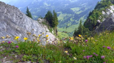 Landeswandertag_2018_Diedamskopf_6