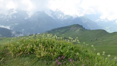 Landeswandertag 2018 Diedamskopf 2