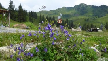 Landeswandertag 2018 Diedamskopf 27