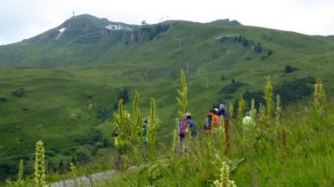 Landeswandertag 2018 Diedamskopf 32