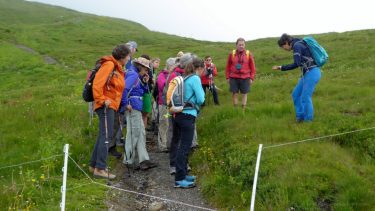 Landeswandertag 2018 Diedamskopf 4