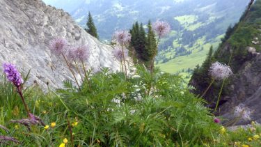 Landeswandertag 2018 Diedamskopf 7