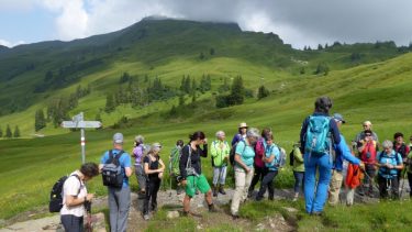 Landeswandertag 2018 Diedamskopf 8