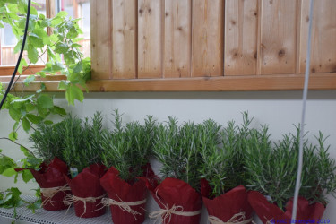 KAC Sibratsgfaell 50 Jahr Jubilaeum 0159