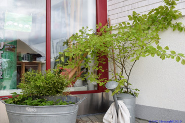 KAC Sibratsgfaell 50 Jahr Jubilaeum 0260