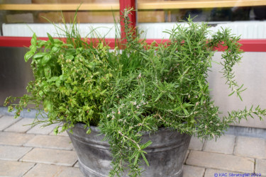 KAC Sibratsgfaell 50 Jahr Jubilaeum 0273