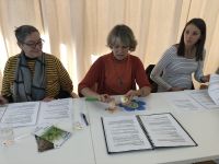 Kac Dornbirn Wickelkurs 2019 6995