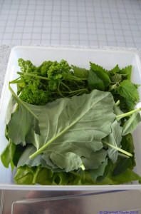 KAC Gaissau Gruene Smoothies  1299