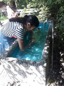 KAC Lochau VS Besucht Wassertrete 2