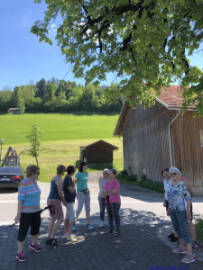 KAC Riefensberg Kraeuterwanderung 2019  4387