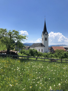 KAC Riefensberg Kraeuterwanderung 2019  4392