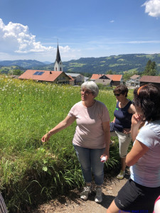 KAC Riefensberg Kraeuterwanderung 2019  4394