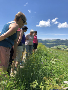KAC Riefensberg Kraeuterwanderung 2019  4397