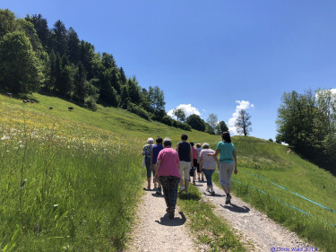 KAC Riefensberg Kraeuterwanderung 2019  4399