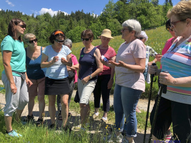 KAC Riefensberg Kraeuterwanderung 2019  4401