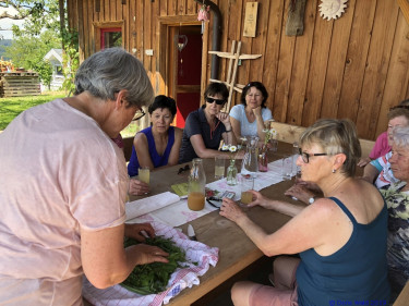 KAC Riefensberg Kraeuterwanderung 2019  4412