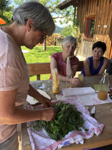 KAC Riefensberg Kraeuterwanderung 2019  4413