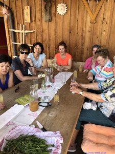 KAC Riefensberg Kraeuterwanderung 2019  4414