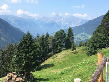 Kneipp_Vorarlberg_Landeswandertag_Silbertal__2498 Kneipp_Vorarlberg_Landeswandertag_Silbertal__2498