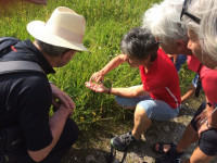 thumb KAC Altach Moorwanderung 5