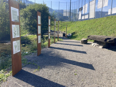 KAC_Andelsbuch_Wassertrete_2550 KAC_Andelsbuch_Wassertrete_2550