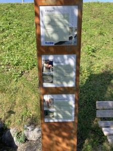 KAC_Andelsbuch_Wassertrete_2551 KAC_Andelsbuch_Wassertrete_2551