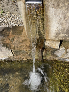 KAC_Andelsbuch_Wassertrete_2562 KAC_Andelsbuch_Wassertrete_2562