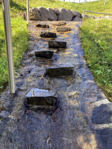 KAC_Andelsbuch_Wassertrete_2566 KAC_Andelsbuch_Wassertrete_2566