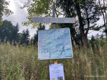 Kneipp_LV_Vorarlberg_Wandertag_Georg_Jillich_2201