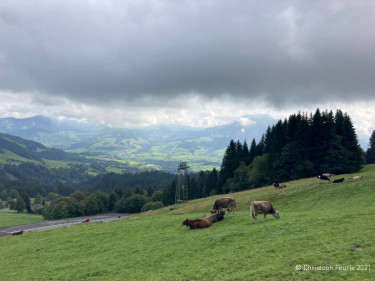 Kneipp_LV_Vorarlberg_Wandertag_Georg_Jillich_2203