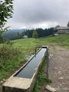 Kneipp_LV_Vorarlberg_Wandertag_Georg_Jillich_2206
