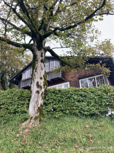 Kneipp_LV_Vorarlberg_Wandertag_Georg_Jillich_2208