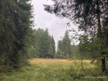 Kneipp_LV_Vorarlberg_Wandertag_Georg_Jillich_2216