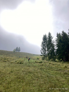 Kneipp_LV_Vorarlberg_Wandertag_Georg_Jillich_2220