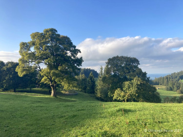 Kneipp_LV_Vorarlberg_Wandertag_Georg_Jillich_2241