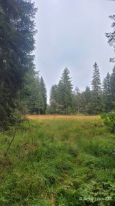 Kneipp_LV_Vorarlberg_Wandertag_Georg_Jillich_132519